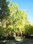 Melbourne University